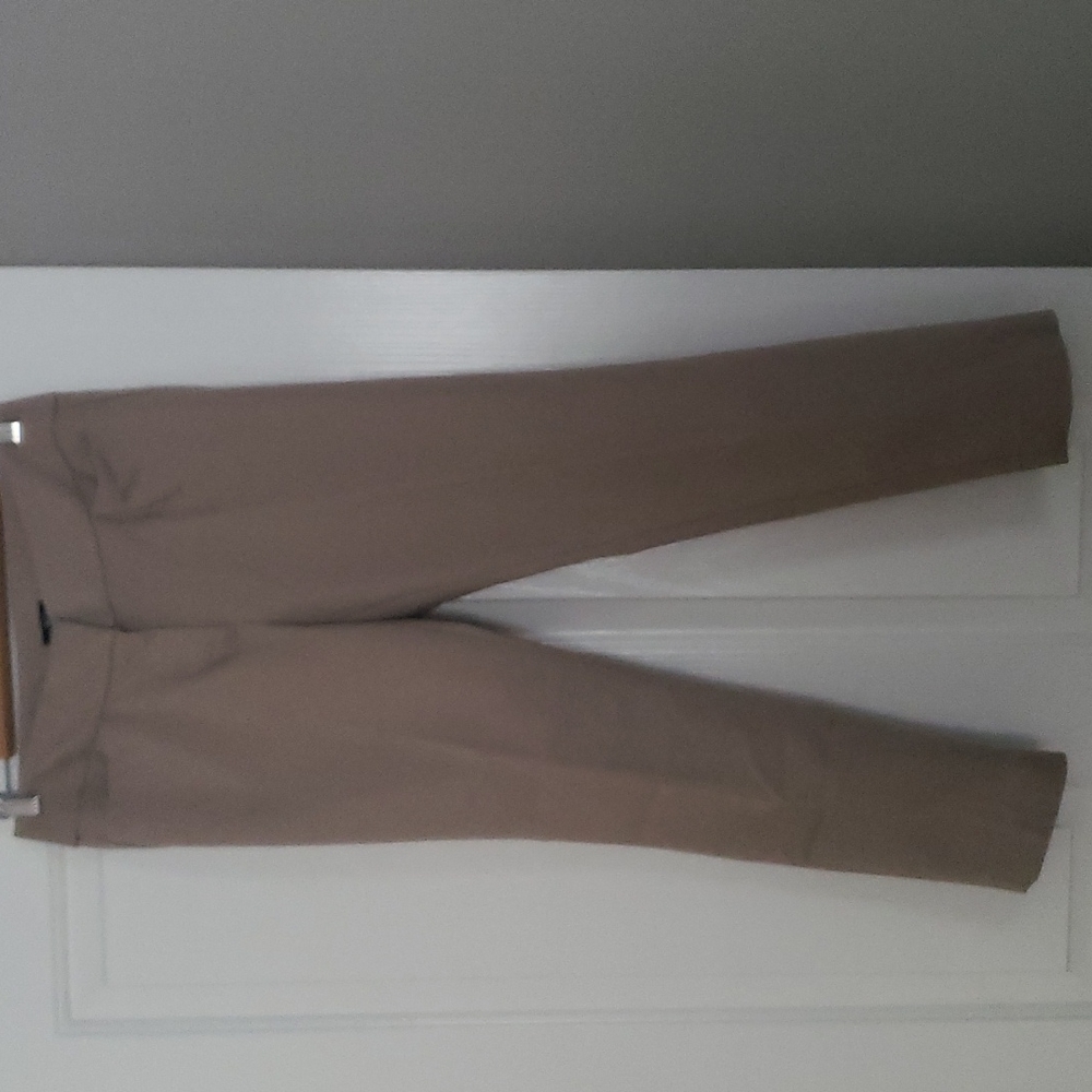 Tan, ankle pant from Loft, petite